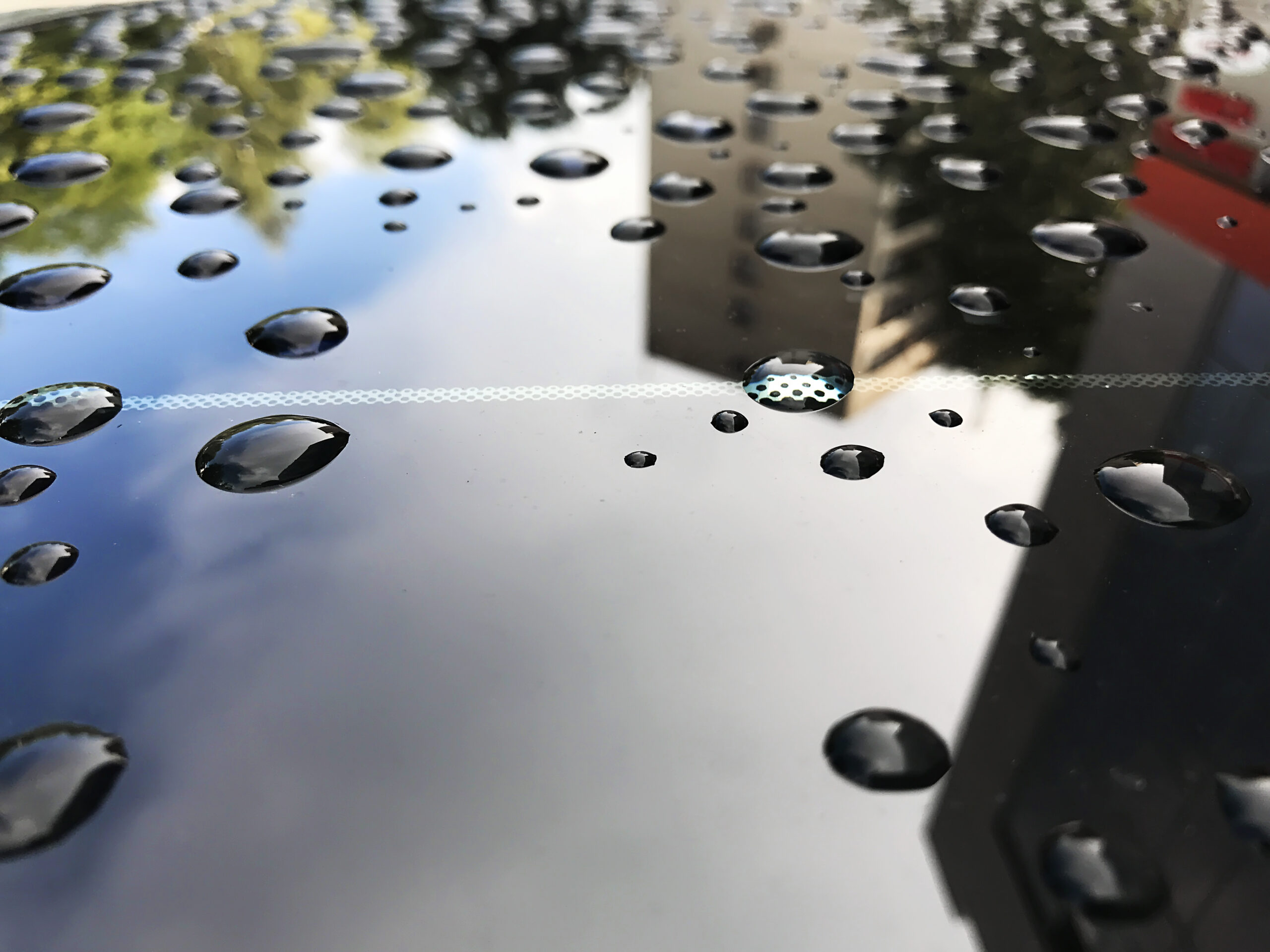 Hydrophobic Effect